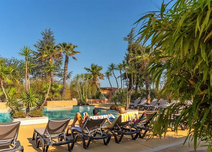 Hotel que admite mascotas: Camping La Pinède Enchantée