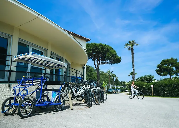 Hotel que admite mascotas: Camping Paradis Le Pearl