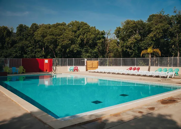 Hôtel accueillant les animaux: Camping le Rancho